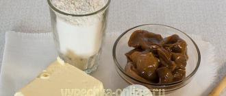 Карамельное печенье на варёной сгущёнке Как сделать печенье с вареной сгущенкой рецепты
