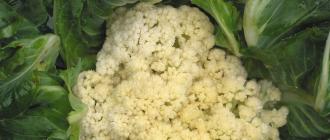 Puree from cauliflower and white cabbage for feeding babies: recipes, methods for cooking and freezing vegetables How to make mashed cauliflower for a child