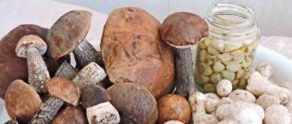 Recipe: Mixed mushroom solyanka - Mushroom solyanka